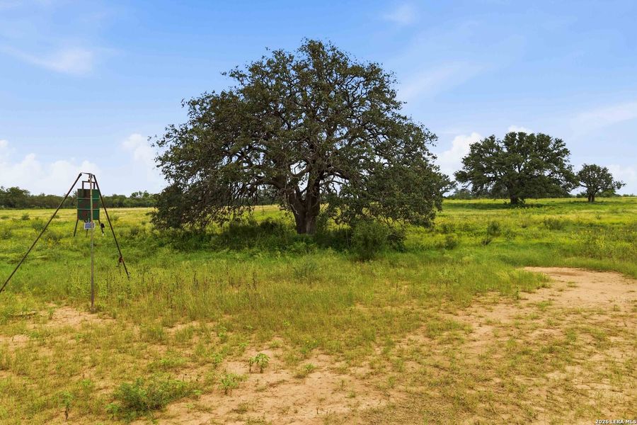 Natural landscape and outdoor views near  in Sabinal (Image 68).