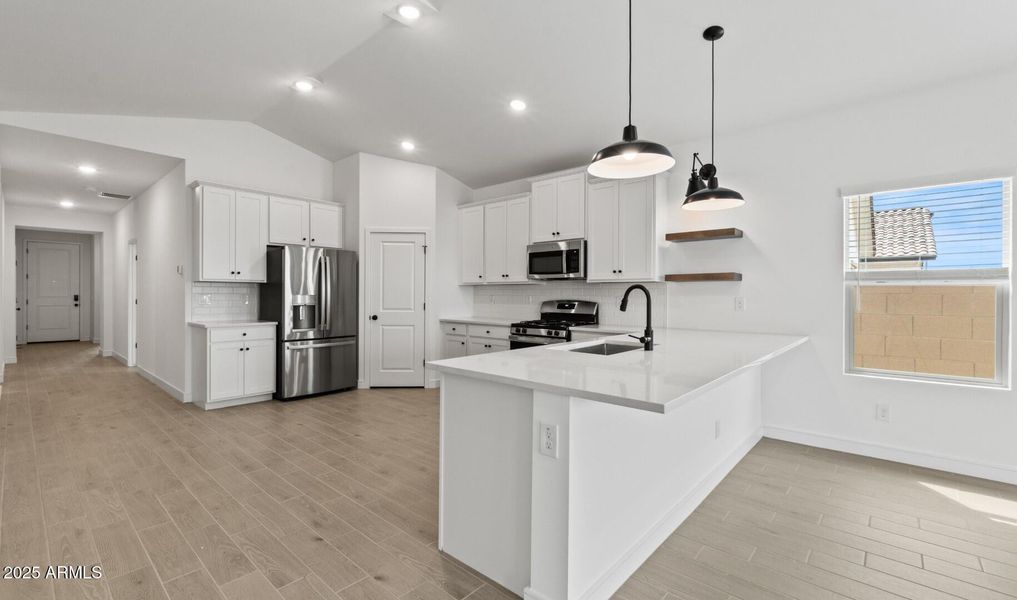 LS Lot #77 Kitchen 2 (Large)