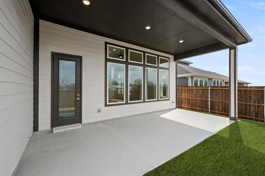 1729 Nesting Robin- Back-3