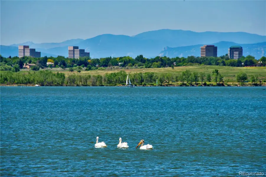 Enjoy Cherry Creek Reservoir nearby