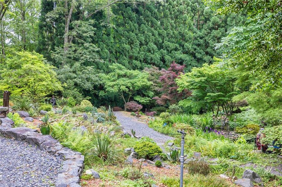 Natural landscape and outdoor views near Livingstone Park in Kennesaw (Image 27).