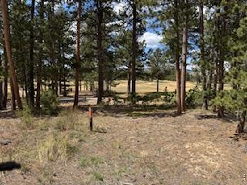 Natural landscape and outdoor views near  in Red Feather Lakes (Image 25).