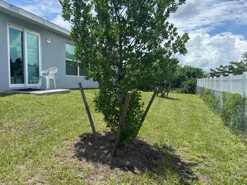 Natural landscape and outdoor views near in Lehigh Acres (Image 35). Natural landscape and outdoor views near in Lehigh Acres (Image 35).