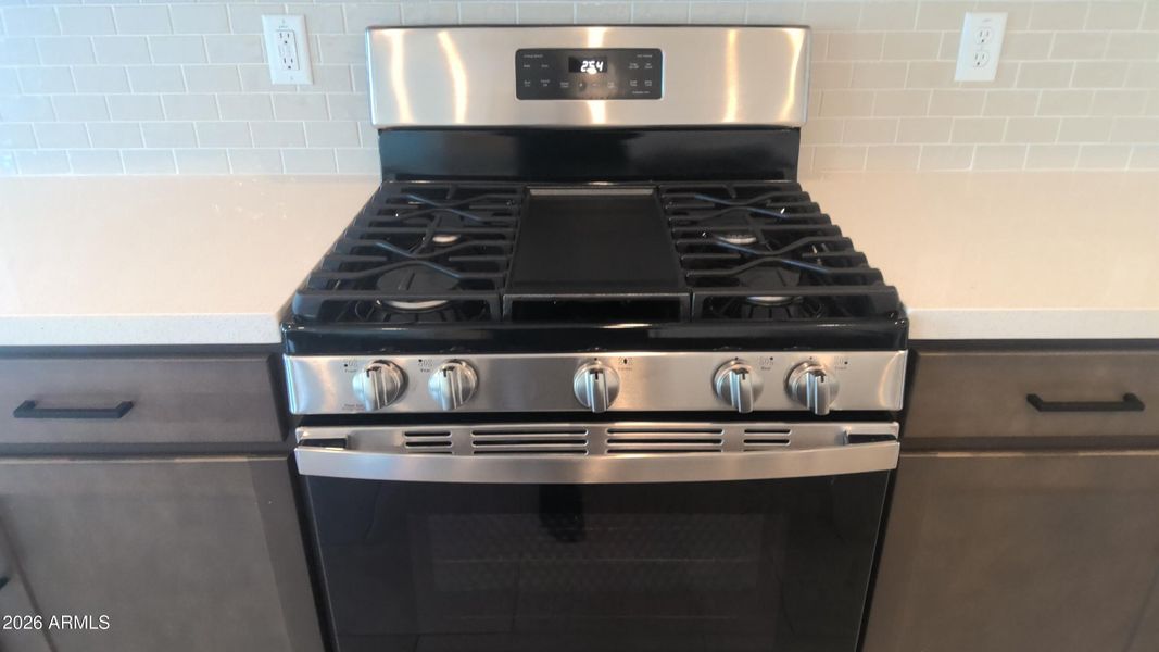 Stainless steel gas range