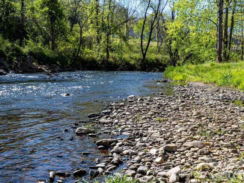 imagine evenings hanging out by this creek
