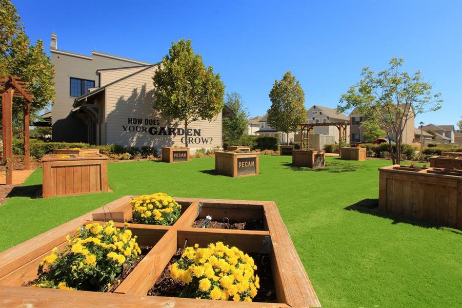 Image 18 of a home in Pecan Square.