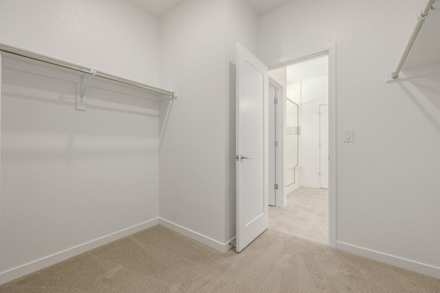 Spacious, unfurnished interior of a new home in Arras Park, Thornton (Image 32).