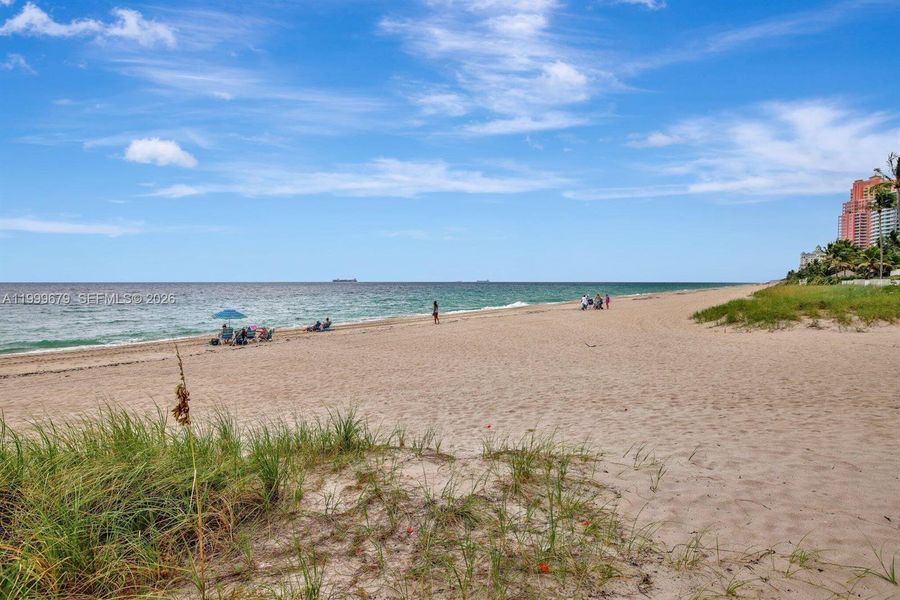 Natural landscape and outdoor views near  in Fort Lauderdale (Image 59).