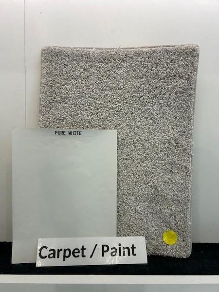 Carpet/Paint Carpet/Paint