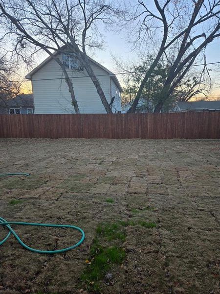 View of yard at dusk