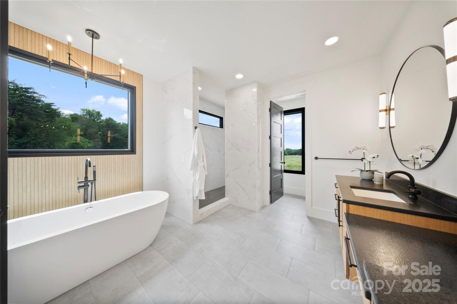 Free standing tub with porcelain accent wall Free standing tub with porcelain accent wall