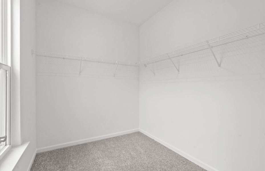 Spacious, unfurnished interior of a new home in Alston Park, Greenville (Image 22).