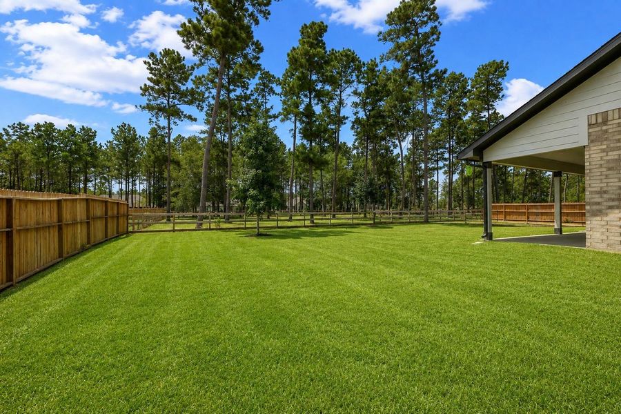 Appreciate your view of tall trees from the back porch