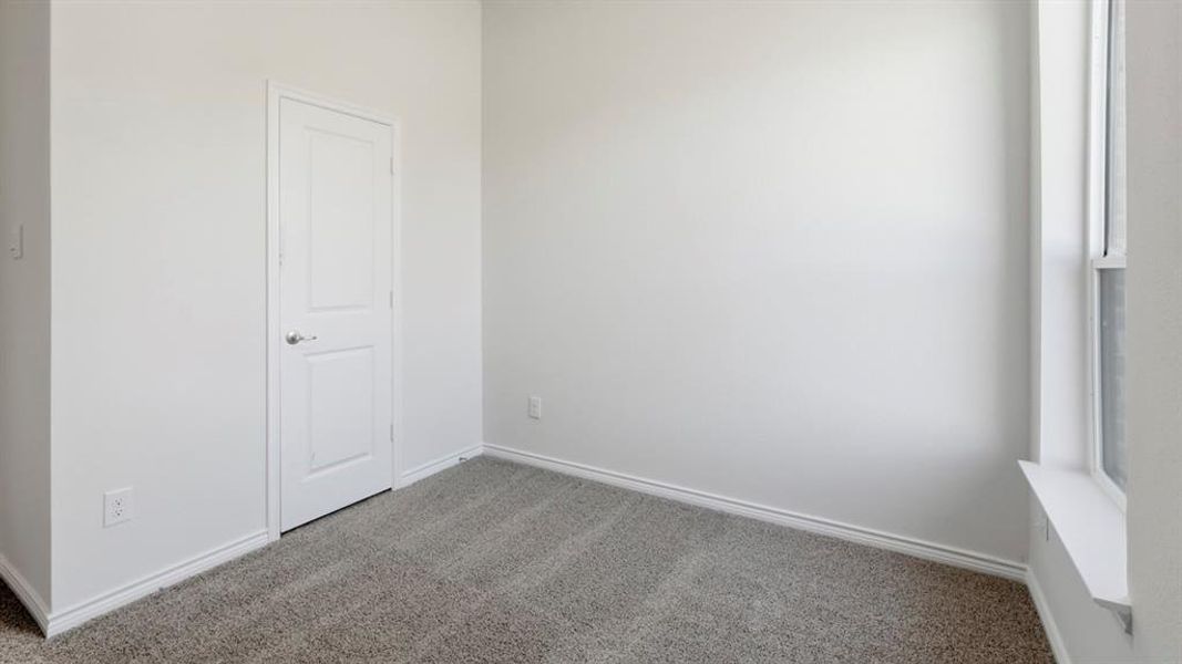 Empty room with carpet and baseboards Empty room with carpet and baseboards