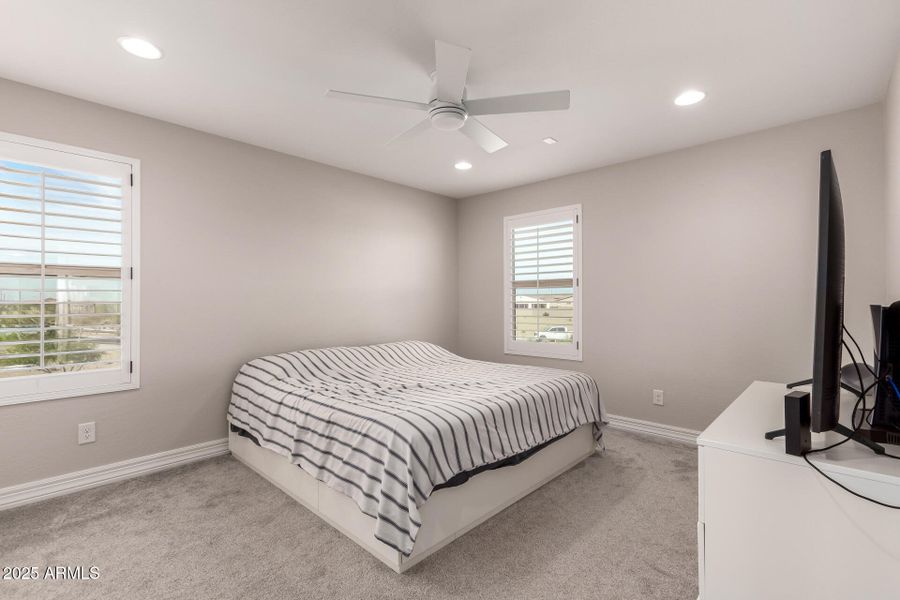 28 - Mariposa Grande 14045