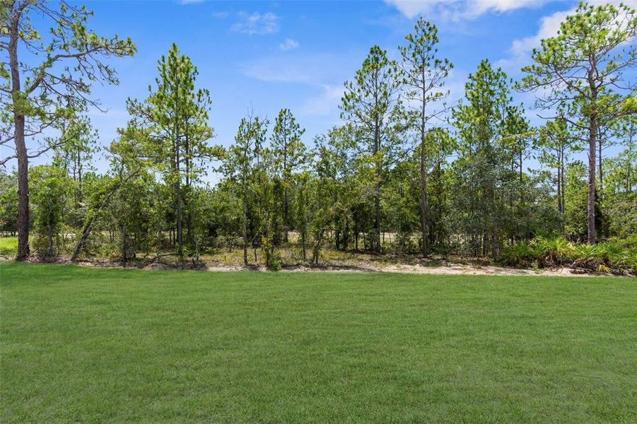 Natural landscape and outdoor views near  in Weeki Wachee (Image 63).