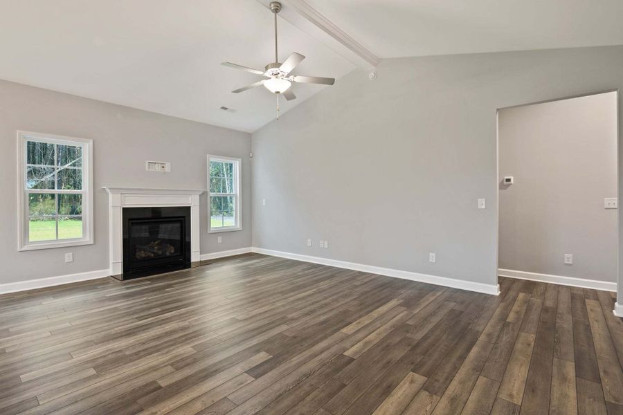 Fireplace Option Fireplace Option