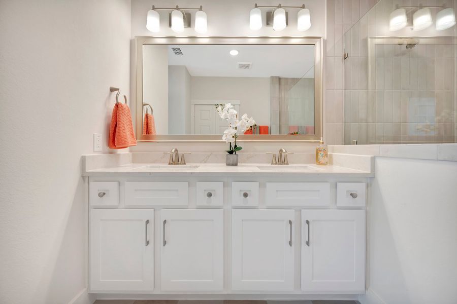 Owner's Bath