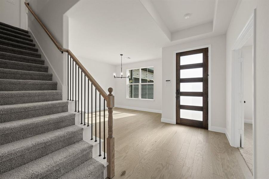 4417 Verbena- Entry-1