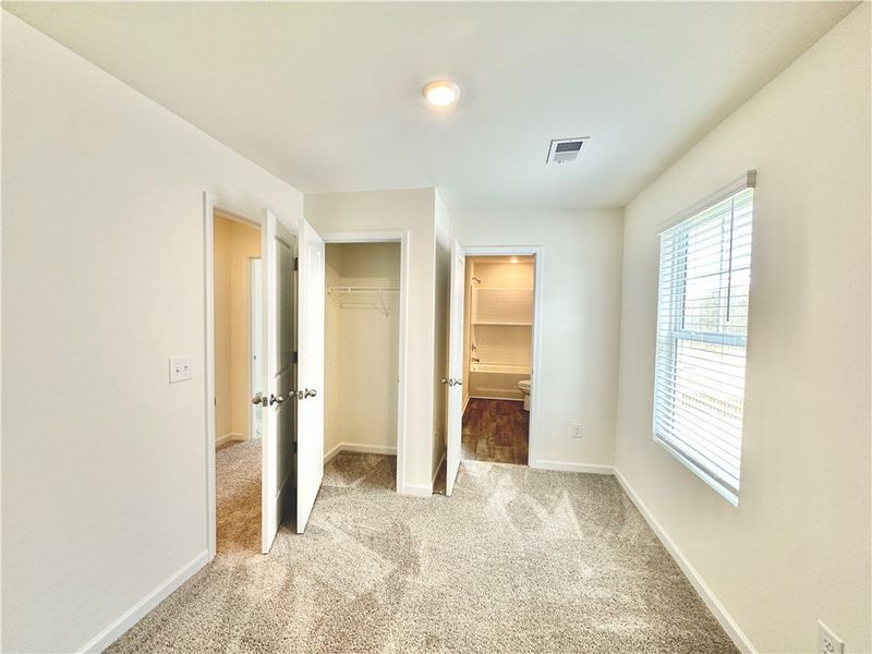 *Photo is from similar Palomino. Actual pics will