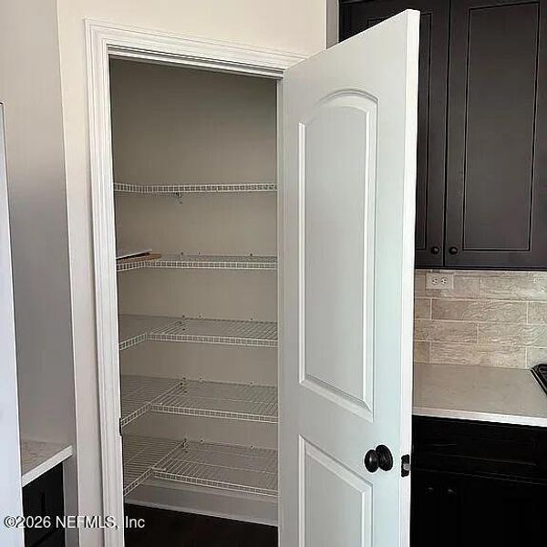 Close-up of interior finishes inside a home in , Green Cove Springs (Image 14).