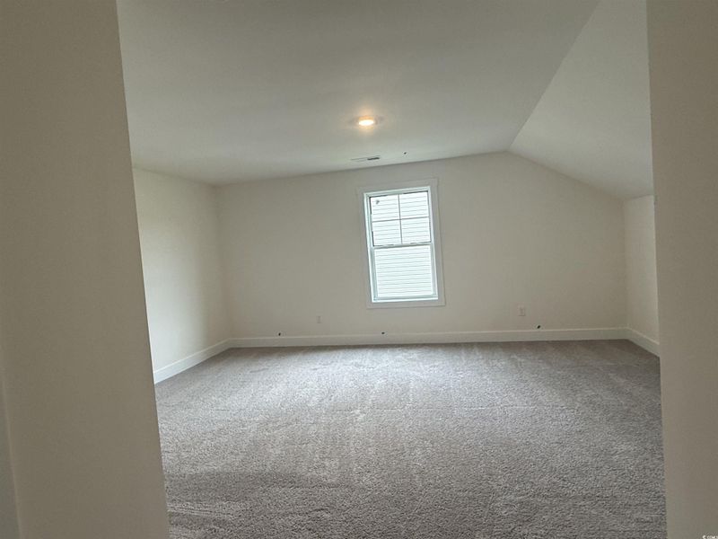 Additional living space featuring light colored carpet and lofted ceiling