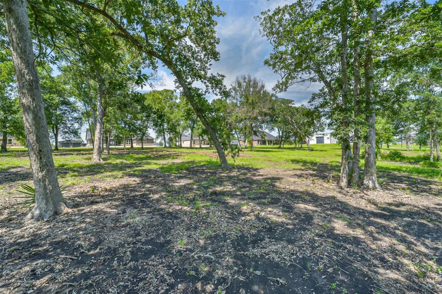 Natural landscape and outdoor views near  in Baytown (Image 45).