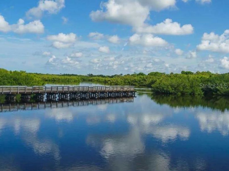 Views of Charlotte Harbour!