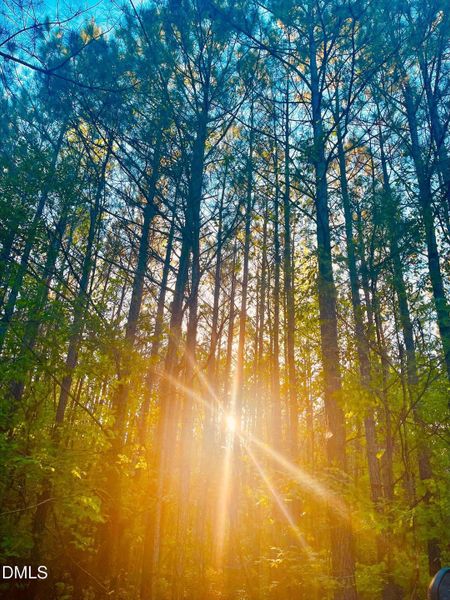 processed-AC3065E1-24A8-478F-9E6E-885ED8 processed-AC3065E1-24A8-478F-9E6E-885ED8