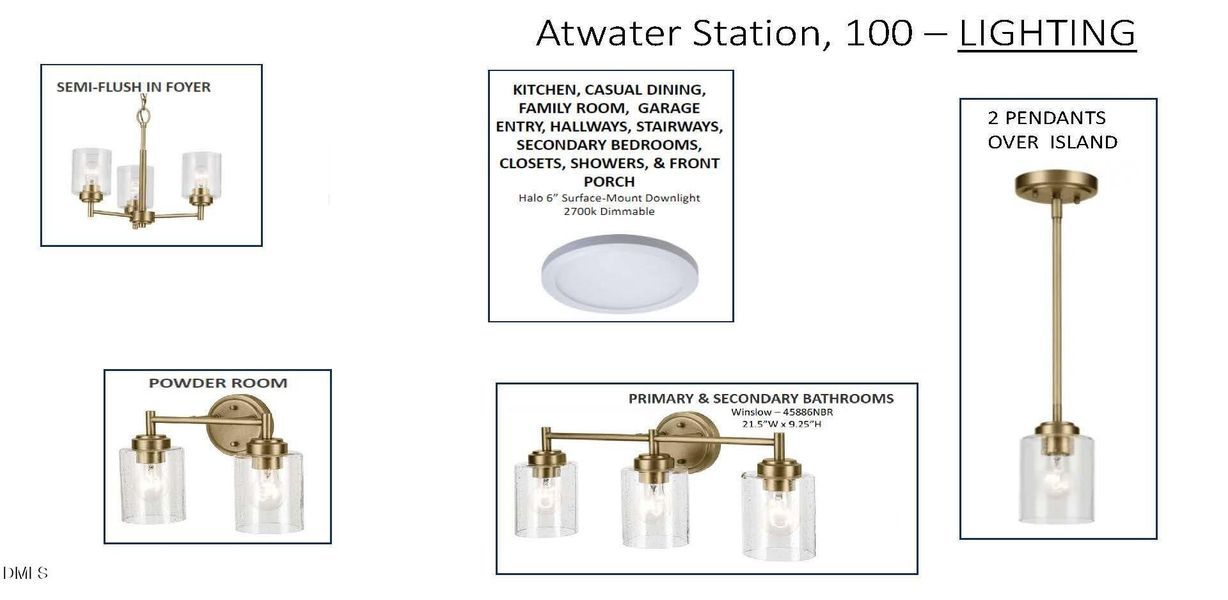 #AWS 100 - Selections Snapshot.012926_Pa