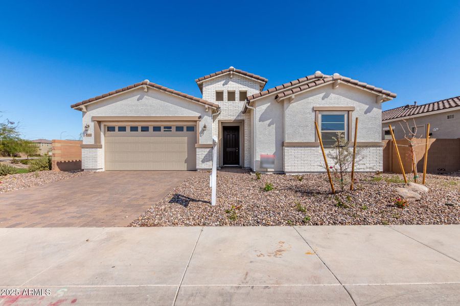 1 - Marguerite 1 - Marguerite