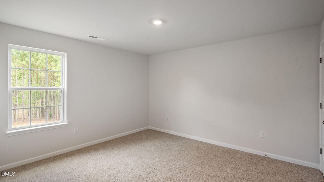 45-tobacco-woods-015