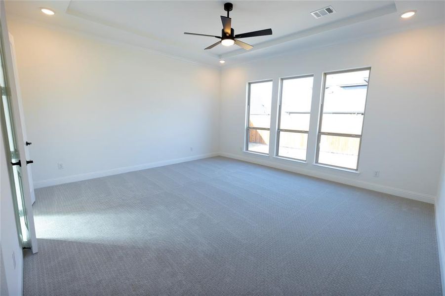 Spare room featuring crown molding, a tray ceiling, ceiling fan, and carpet