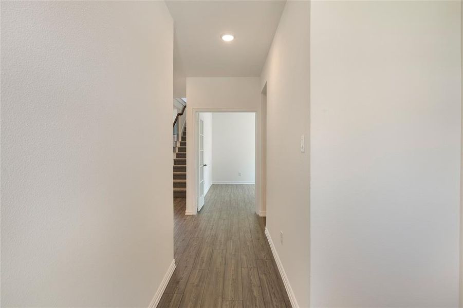 Spec Elevon 256 Bright Alcove-003 Spec Elevon 256 Bright Alcove-003