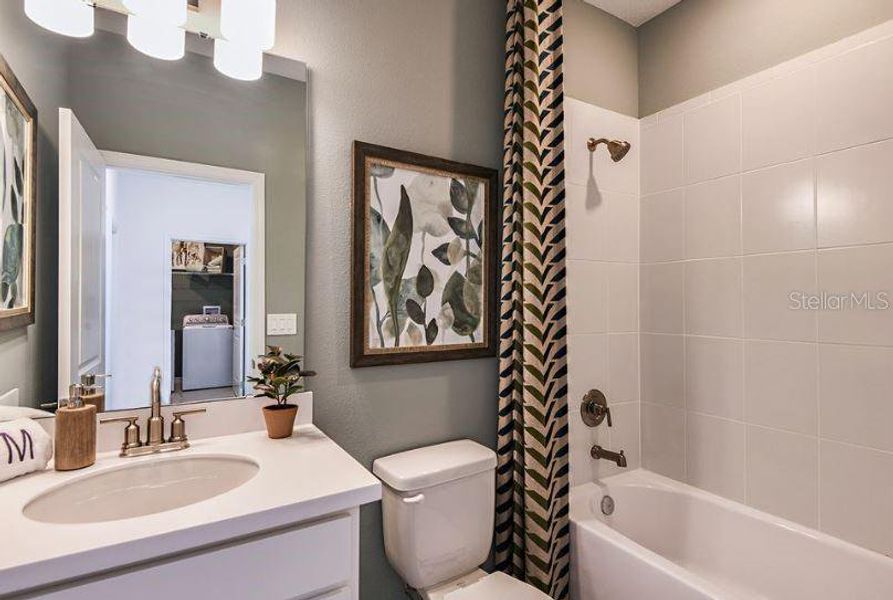 REPRESENTATIVE PHOTOS