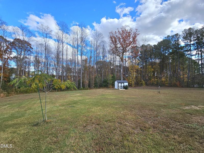 20251110_130439 20251110_130439