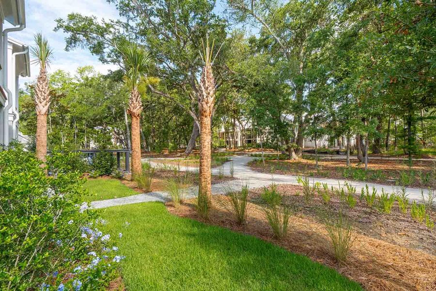 Natural landscape and outdoor views near  in Johns Island (Image 44).