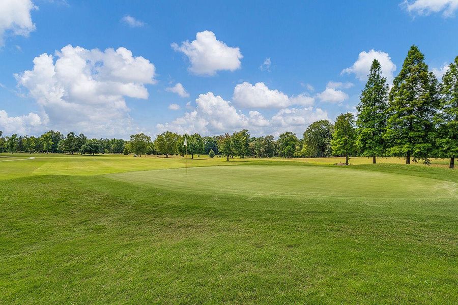Natural landscape and outdoor views near  in Moncks Corner (Image 35).