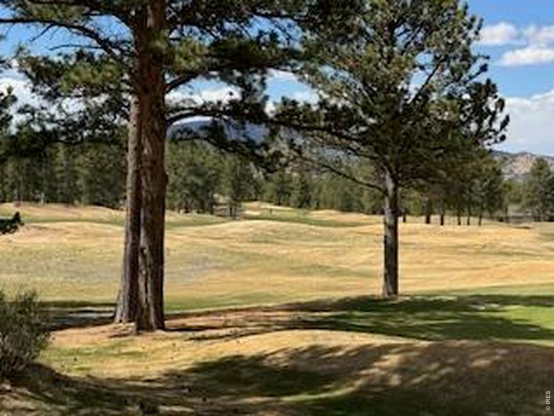 Natural landscape and outdoor views near  in Red Feather Lakes (Image 30).