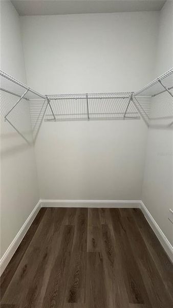 Walk in Closet Master.