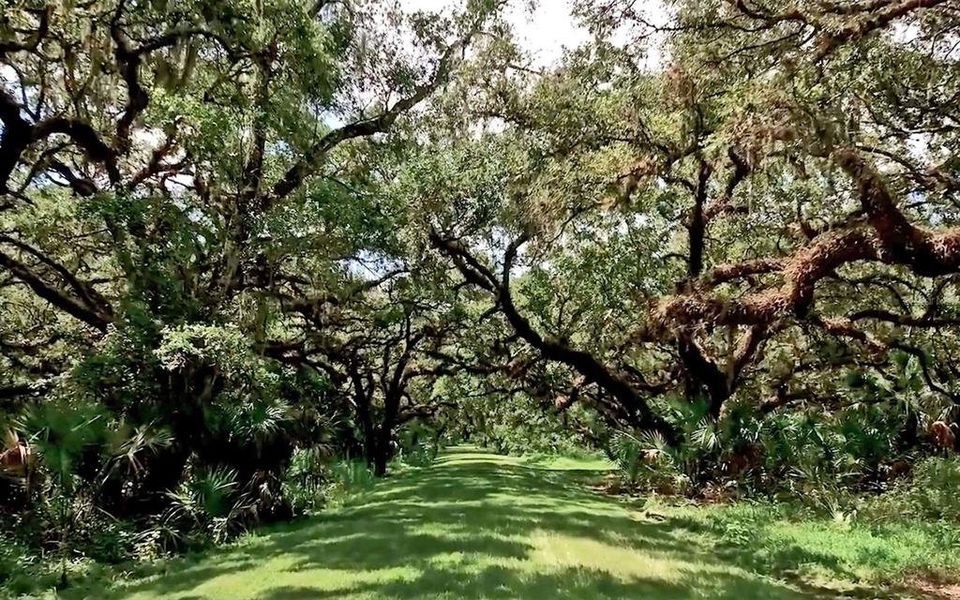 Natural landscape and outdoor views near  in Myakka City (Image 20).
