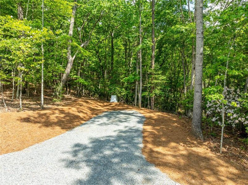 Natural landscape and outdoor views near  in Morganton (Image 32).