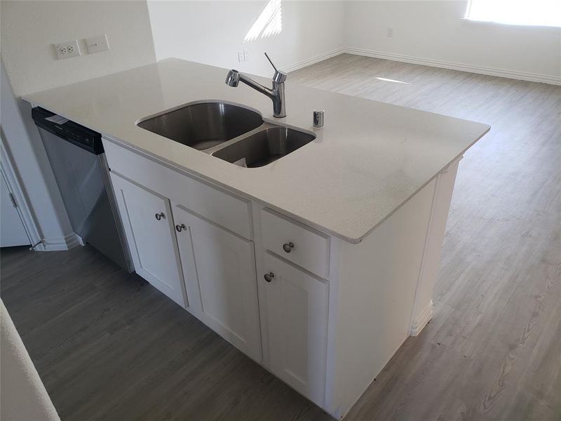 Sink / Dishwasher / Eating Bar