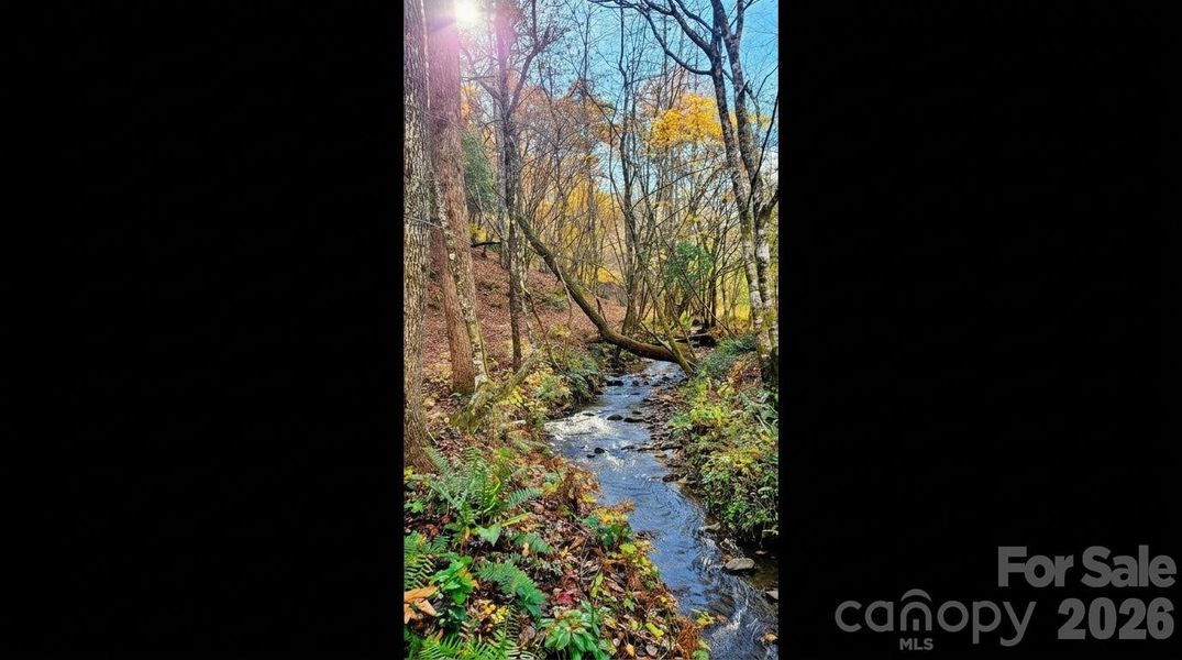 Natural landscape and outdoor views near  in Murphy (Image 29).