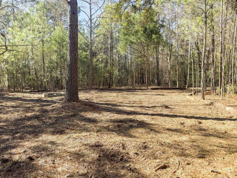 Natural landscape and outdoor views near  in Johns Island (Image 20).