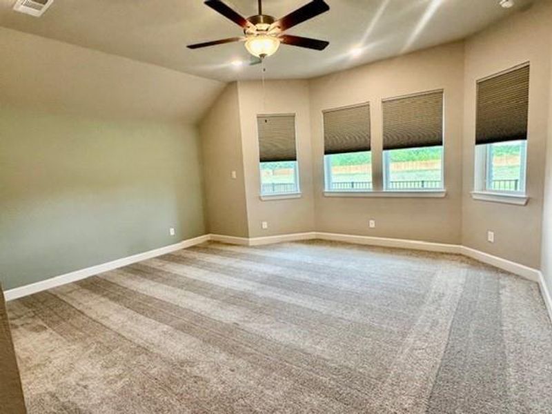 Beautiful Master Bedroom with bay window, 10 ft ceilings & accent wall!