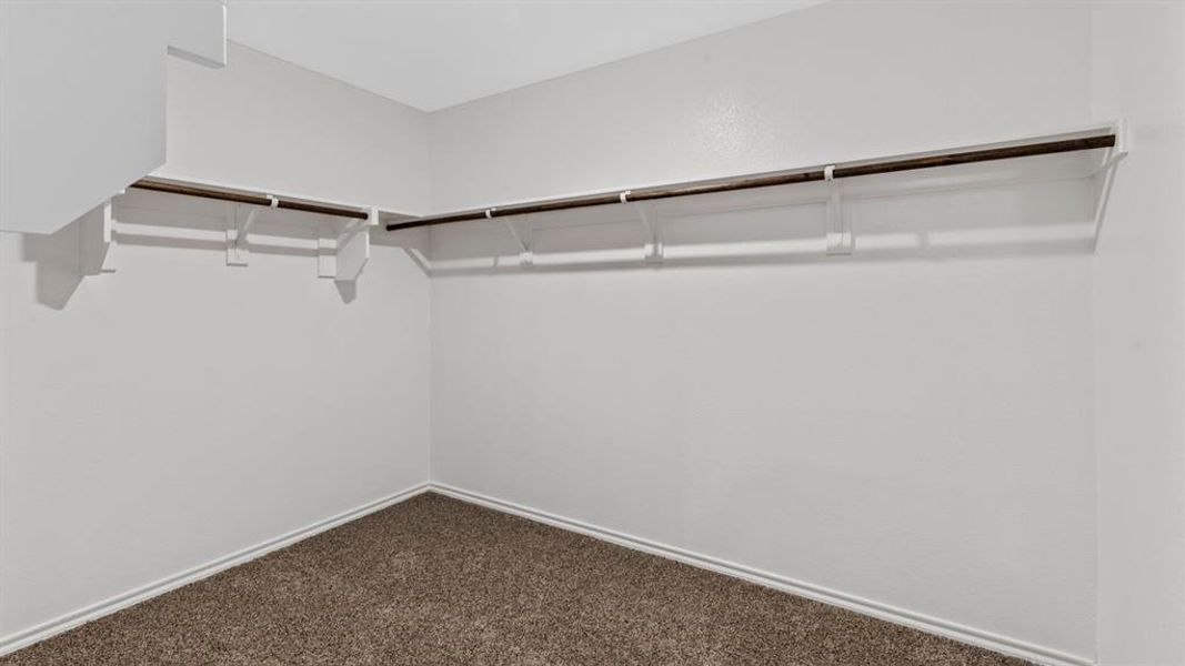 Spacious closet featuring dark colored carpet