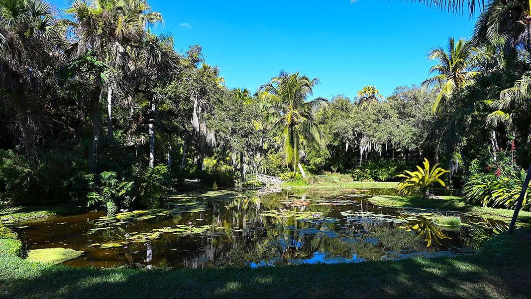 Natural landscape and outdoor views near Veranda Oaks in Port St. Lucie (Image 85).