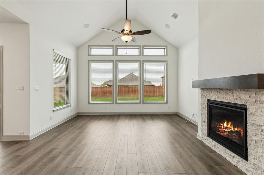 5-3629Maize_005 5-3629Maize_005