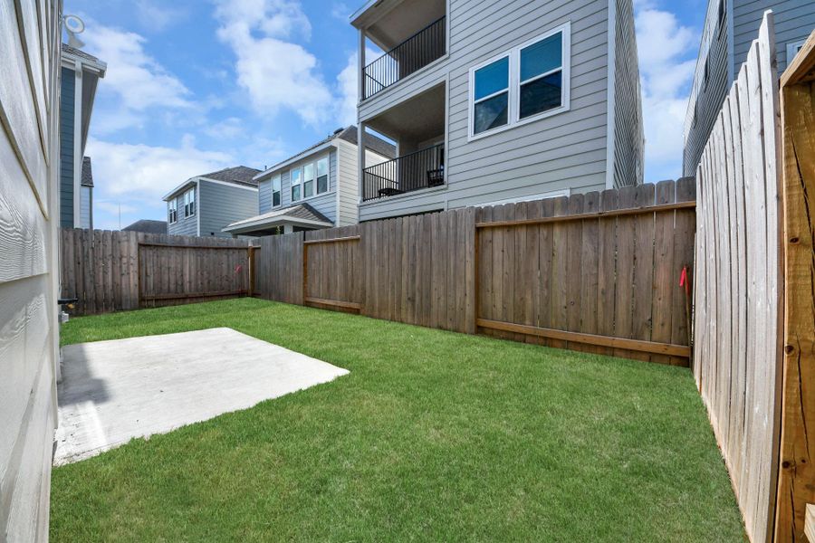 Backyard